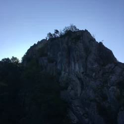 IMG 2856