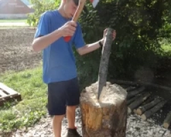 Arbeitseinsatz für den Naturpark Thal der 3. Sek E Matzendorf am Rickenbächli in Aedermannsdorf 