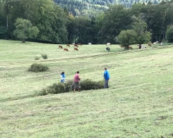 Naturpark Thal B3bc