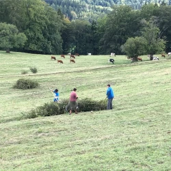 Naturpark Thal B3bc