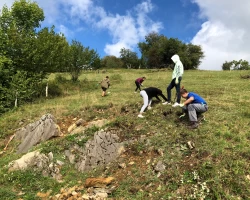 Naturpark Thal B3bc