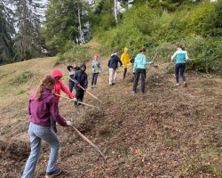 Arbeitseinsatz Naturpark Thal Sek E 3e / Allemend Aedermannsdorf