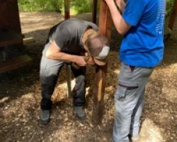 35