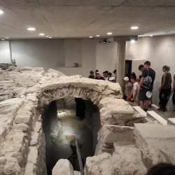 20190625 1044375