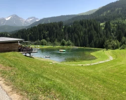 IMG 0091