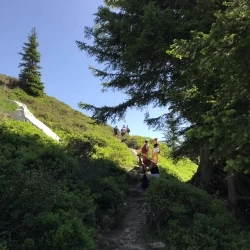 IMG 1863