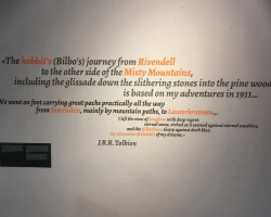 IMG 1781