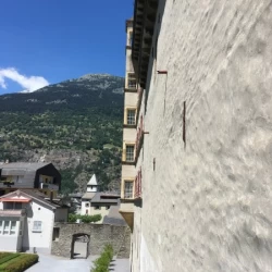 IMG 1841