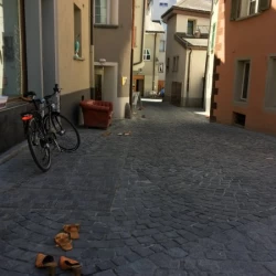 IMG 1861