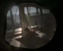 Bild  Fensterfront und Personen auf dem Kopf 