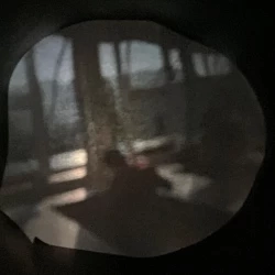 Bild  Fensterfront und Personen auf dem Kopf 