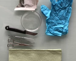 Material fur Auge sezieren