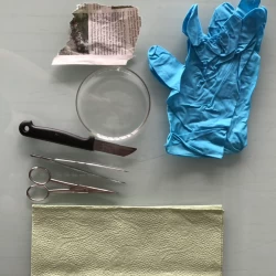 Material fur Auge sezieren