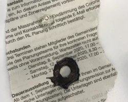 Regenbogenhaut und Linse
