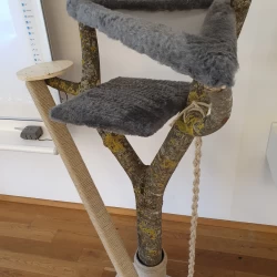 Foto Projektarbeit Matzendorf Katzenbaum