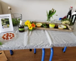 Foto Projektarbeit Matzendorf Pflanzenheilkunde