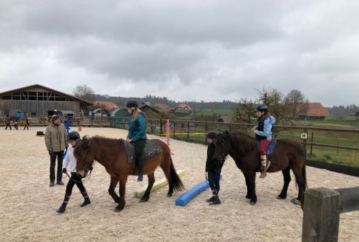 Workshop: Islandpferde kennenlernen & erleben