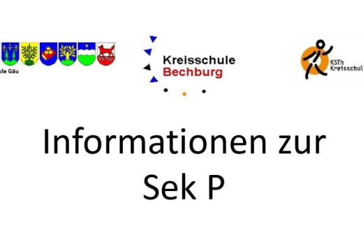 Informationen zur Sek P 1