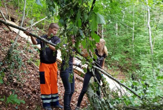 Arbeitseinsatz Naturpark Thal Sek E 3 Matzendorf