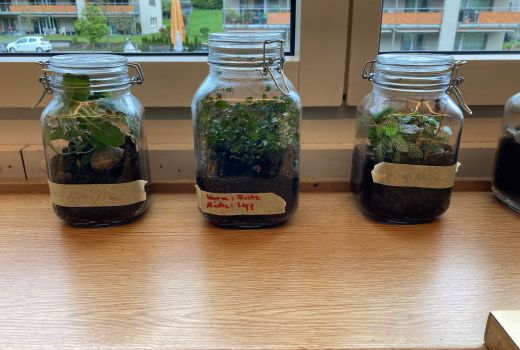 Experiment Ökosystem