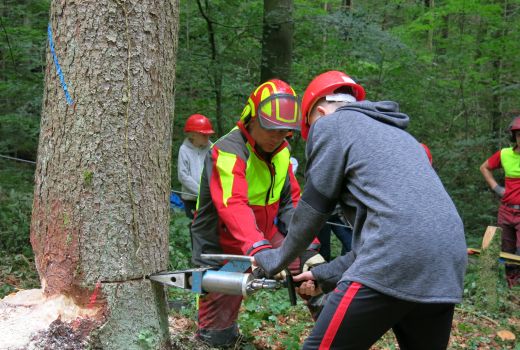 WaLd,Holz, Klima, Sek E 2b Balsthal